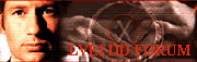 LVEI DD Forum